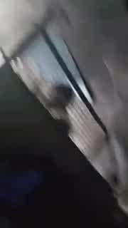 Jhansi Train Video: ट्रेन में यात्री ने खाना को बताया महंगा, तो वेंडर ने साथियों संग मिलकर कर दिया ये कांड