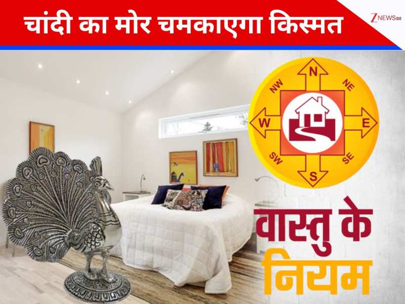 वास्तु शास्त्र में चांदी के मोर का बड़ा महत्व, सही दिशा में रखने पर आएगा पैसा