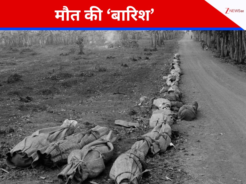 100 दिन, 800000 मौतें... दुनिया का वो नरसंहार, जिसने इंसानियत को कर दिया था शर्मसार