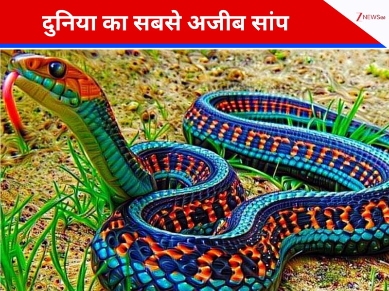 दुनिया के 5 सबसे दुर्लभ नारंगी सांप, जिसे देखकर आप भी कहेंगे- WOW, क्या नजारा है