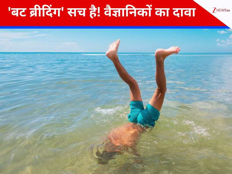 'बट ब्रीदिंग' अब मजाक नहीं, जापानी वैज्ञानिकों ने विकसित की जीवनरक्षक नई तकनीक