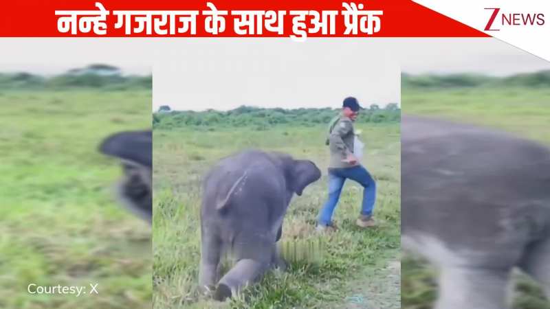 गले लगाने के लिए तेजी से भागता हुआ रहा था नन्हा हाथी, शख्स ने किया प्रैंक, गजराज का रिएक्शन हुआ वायरल