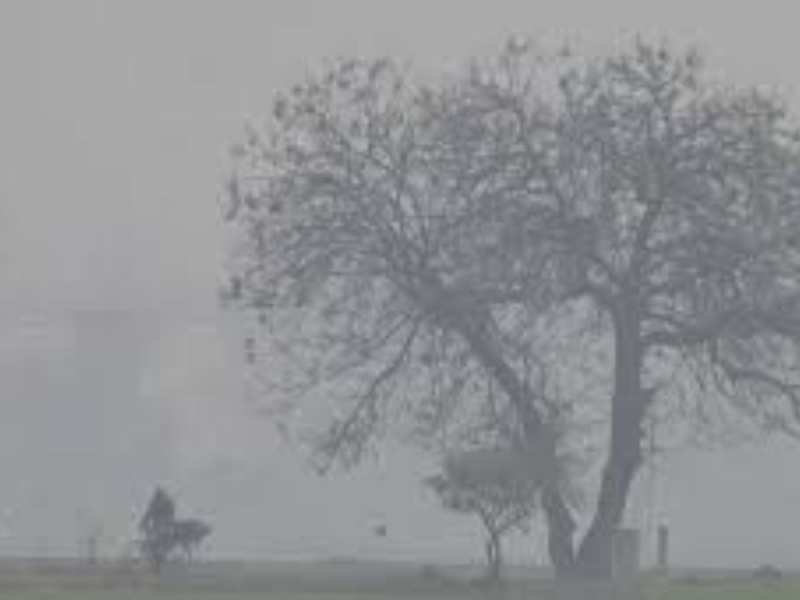 Bihar Weather: मौसम में दिखा बदलाव, नमी और तापमान दोनों में आई गिरावट