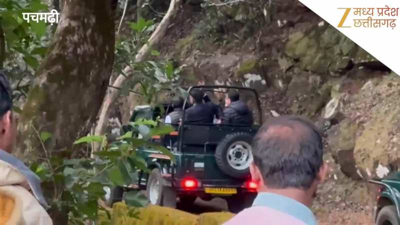 VIDEO: पचमढ़ी में जंगल सफारी की सैर पर निकले राहुल गांधी, जिप्सी में बैठकर उठाया आनंद