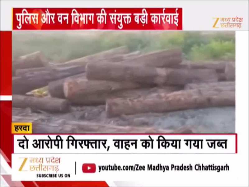 MP के इस जिले में सागौन की अवैध तस्करी का हुआ भंडाफोड़, बड़ी मात्रा में जा रही थी लकड़ी