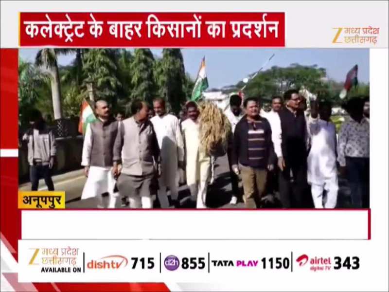 MP के इस जिले में धान की फसल बर्बाद, किसानों का प्रदर्शन, मुआवजे की मांग