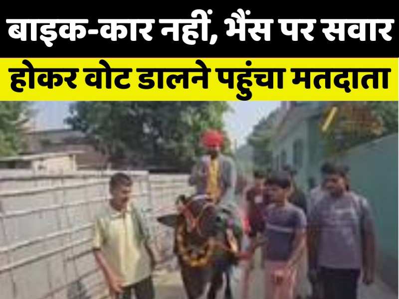ई बिहार बा! भैंस पर सवार होकर वोट डालने पहुंचा शख्स, बोले- 'लोकतंत्र मेरा गर्व'