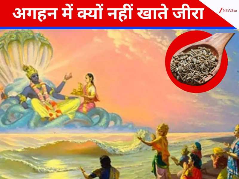अगहन मास में जीरा खाने की मनाही! शास्त्रों में छिपा है गहरा रहस्य