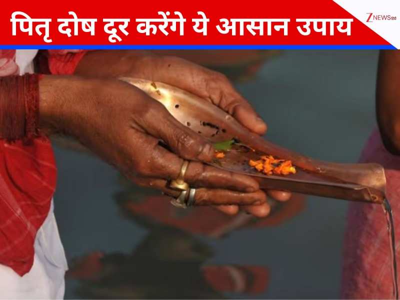 पितृ दोष के प्रकोप से कैसे छिन जाता है भाग्य, वैभव और संतान का सुख