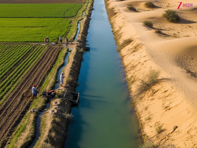 भारत की सबसे बड़ी नहर! जिसने बदल दिया थार का नक्शा