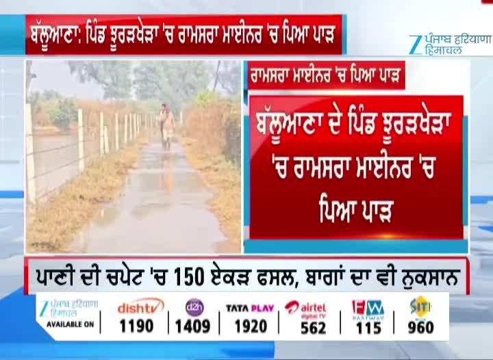 ਰਾਮਸਰਾ ਮਾਈਨਰ ਵਿੱਚ ਪਿਆ 25 ਤੋਂ 30 ਫੁੱਟ ਦਾ ਪਾੜ, ਫਸਲਾਂ ਤੇ ਬਾਗਾਂ ਦਾ ਭਾਰੀ ਨੁਕਸਾਨ