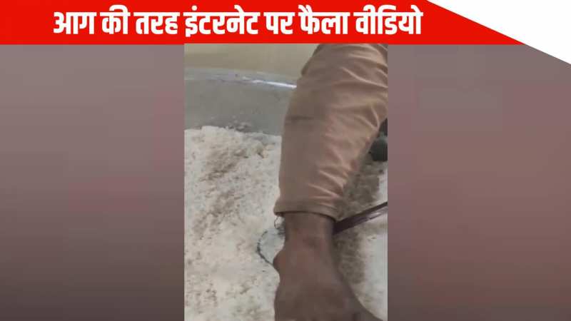 नशे में धुत्त चौकीदार छात्रों के पके हुए चावल में पैर डाल कर सोया, स्टूडेंट्स के देखते ही हॉस्टल में हुआ हाई वोल्टेज ड्रामा