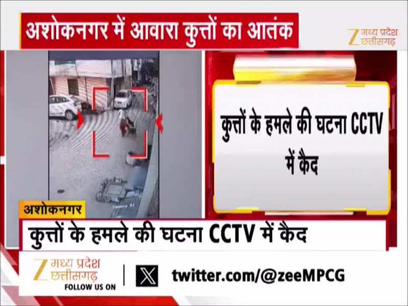 अशोकनगर में आवारा कुत्तों का आतंक, महिला पर किया हमला, Video वायरल