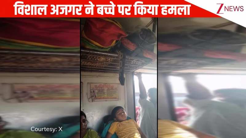 ट्रेन में सो रहे बच्चे पर विशाल अजगर ने किया हमला, 2 सेकंड में मच गई चीख पुकार, देख छूट जाएंगे पसीने
