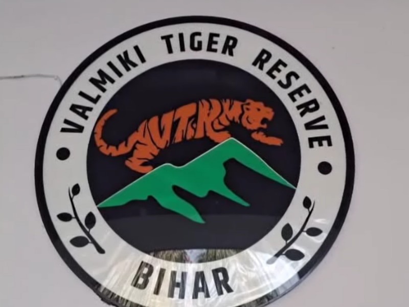 VTR में जब पर्यटकों के काफी पास पहुंच गया तेंदुआ, ब्लैक कोबरा का भी हुआ दीदार