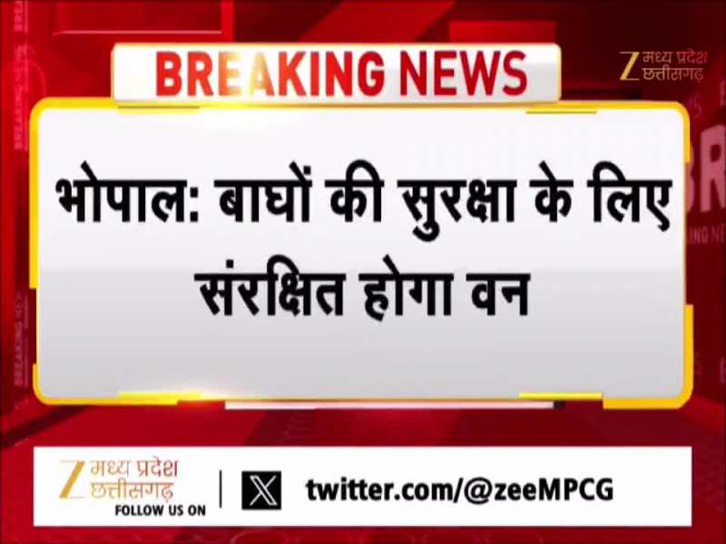 भोपाल में बाघों की सुरक्षा के लिए बड़ा फैसला, अब प्रदेश में संरक्षित होंगे वन, जानिए प्लान