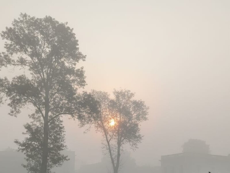 धूप से भी लोगों को नहीं मिल रही ठंड से राहत, जानें मौसम अपडेट एक क्लिक में