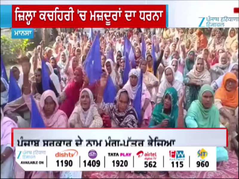 ਮਾਨਸਾ DC ਦਫ਼ਤਰ ਬਾਹਰ ਕੀਤਾ ਰੋਸ ਮੁਜ਼ਾਹਰਾ, ਪੰਜਾਬ ਸਰਕਾਰ ਦੇ ਨਾਮ ਮੰਗ-ਪੱਤਰ ਭੇਜਿਆ