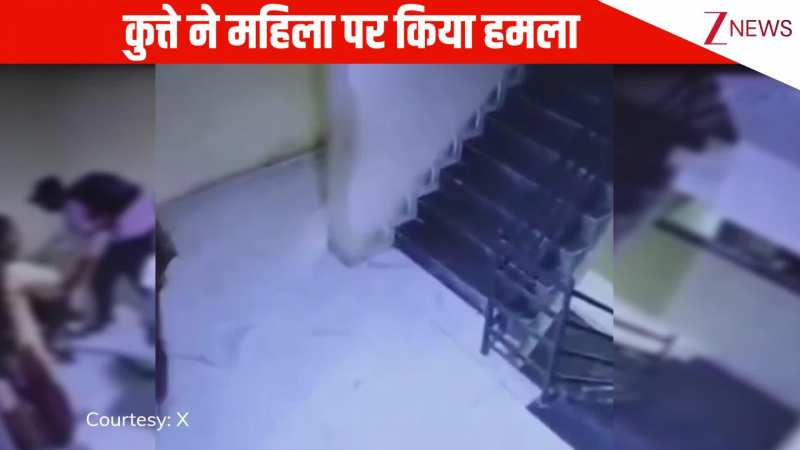 सामने से खड़ी महिला पर कुत्ते ने किया हमला, मालिक ने हाल पूछे बिना ही मुंह पर जड़ दिया तमाचा, सीसीटीवी में कैद