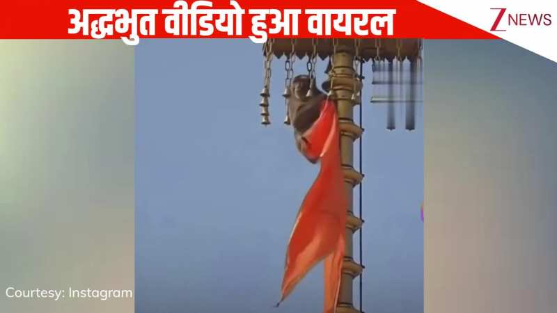 VIRAL: राम मंदिर के ऊपर चढ़ा बंदर, सही किया भगवा झंडा, अद्भुत वीडियो ने ला दी भारतीयों के चेहरे पर मुस्कुराहट