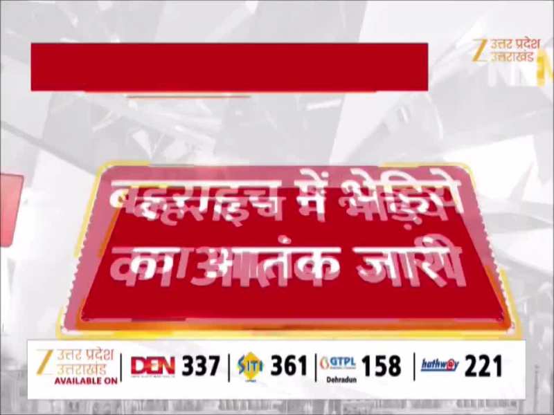 Bahraich Wolf Attack: बहराइच में भेड़िये का आतंक जारी, वन विभाग आदमखोर को पकड़ने में नाकाम
