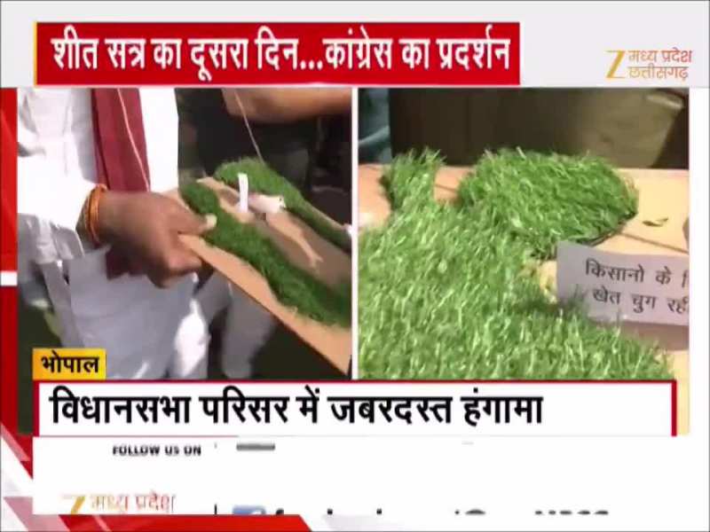 MP विधानसभा के बाहर कांग्रेस विधायकों का अनोखा प्रदर्शन, खाद-बीज के मुद्दे पर साधा निशाना
