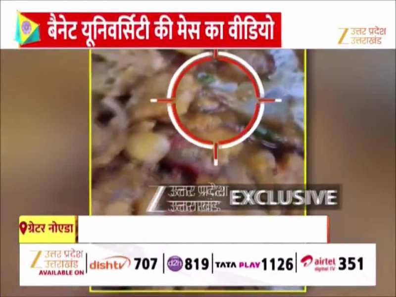 Video: खाने में निकला कीड़ा!  ग्रेटर नोएडा की नामी यूनिवर्सिटी की मेस का वीडियो वायरल