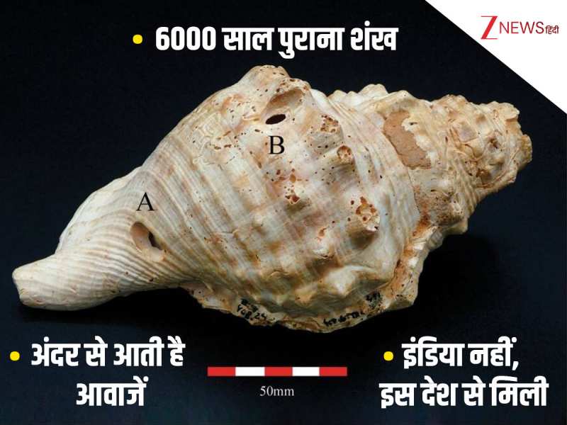 6,000 साल पुराने शंख में छिपा मिला ऐसा खजाना, अंदर से आती है आवाज! सहमे साइंटिस्ट