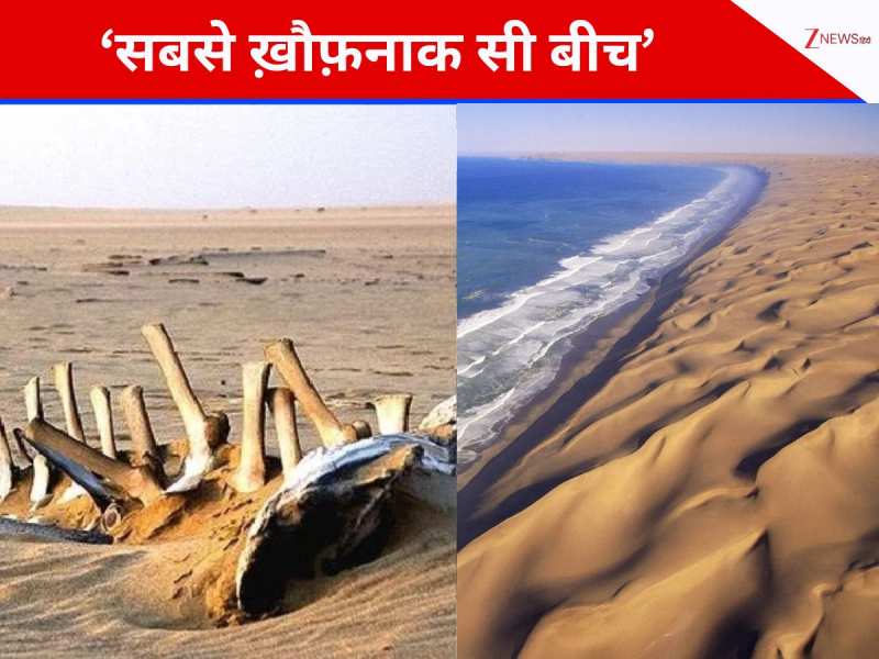 कंकालों वाला ये सी बीच 'कब्रगाह' से कम नहीं, इंसान, जानवर और जहाज तोड़ चुके हैं दम