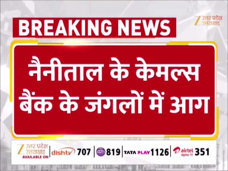 नैनीताल के केमल्स के जंगलों में भीषण आग, कई हेक्टेयर जंगल की जमीन स्वाहा 