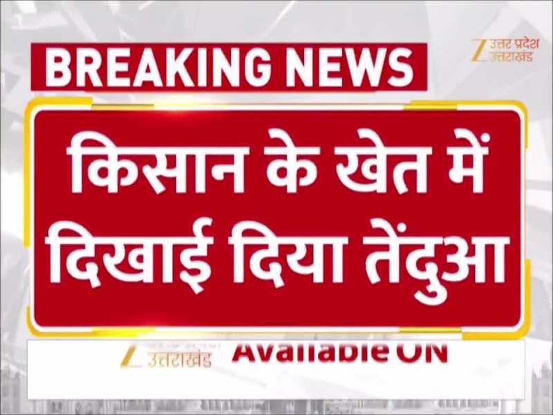 Video: हापुड़ में एक बार फिर तेंदुए का खौफ, वीडियो सोशल मीडिया पर वायरल