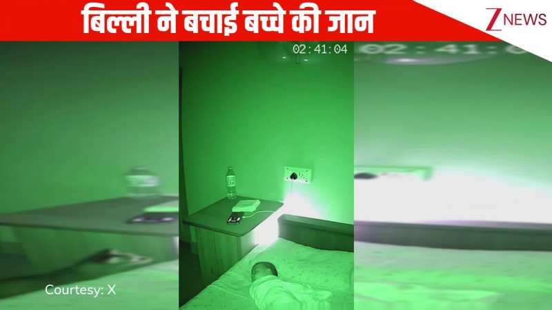 बेड पर सो रहे नवजात शिशु के पास अचानक हुआ शॉर्ट सर्किट, बिल्ली ने देखा और फिर जो हुआ... वीडियो वायरल