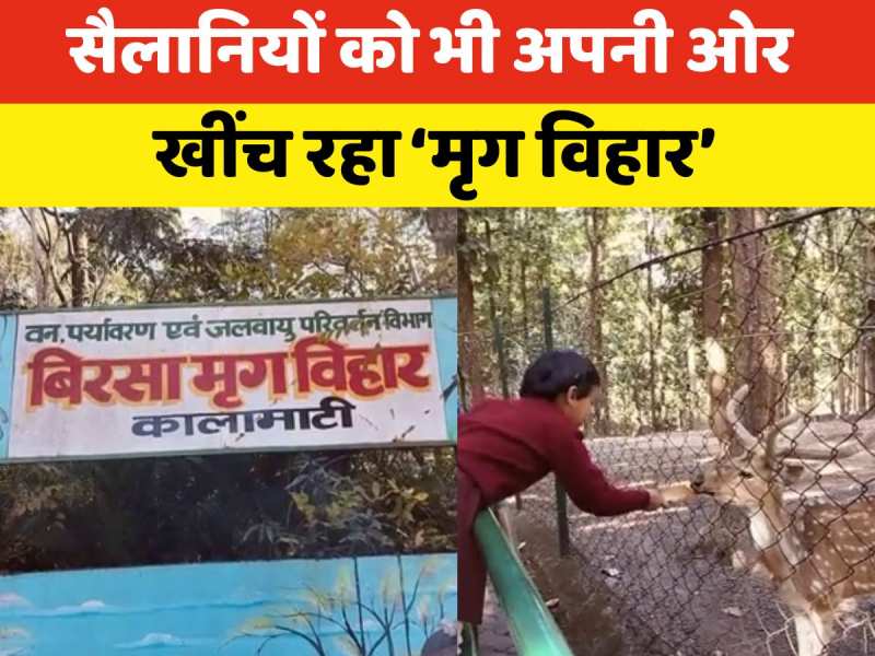 Video: बच्चों के साथ जरूर देखें खूंटी का ‘मृग विहार’, हिरणों का झुंड दिल लूट लेगा!