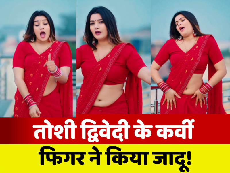 VIDEO: एक नहीं दो-दो भोजपुरी गाने पर तोशी द्विवेदी ने अपनी कर्वी फिगर से लूटी महफिल!