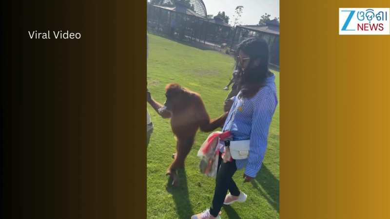 Video: ଚିଡିଆଖାନାରୁ ଭାଇରାଲ୍ ହେଲା ଅଭିନେତ୍ରୀ ନିହାରୀକାଙ୍କ ଭିଡିଓ