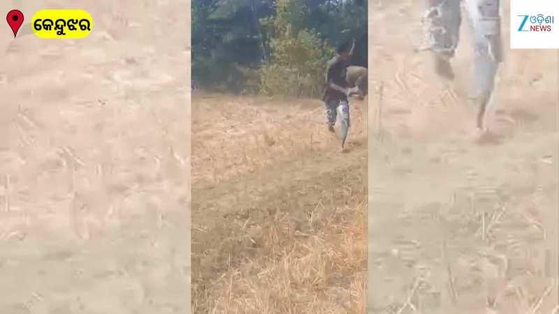 VIDEO: ହାତୀ ଆଗରେ ବାହାଦୁରୀ ଦେଖାଇବା ପଡ଼ିଲା ମହଙ୍ଗା, ଯୁବକଙ୍କୁ ଦଳିଦେଲା ହାତୀ, କେନ୍ଦୁଝରରୁ ଭାଇରାଲ ହେଲା ଏହି ଭିଡିଓ...