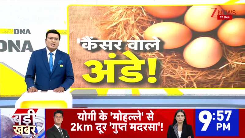 DNA: कहीं आपके घर में कैंसर वाले अंडे तो नहीं हैं? Cancer। Egg। Zee News