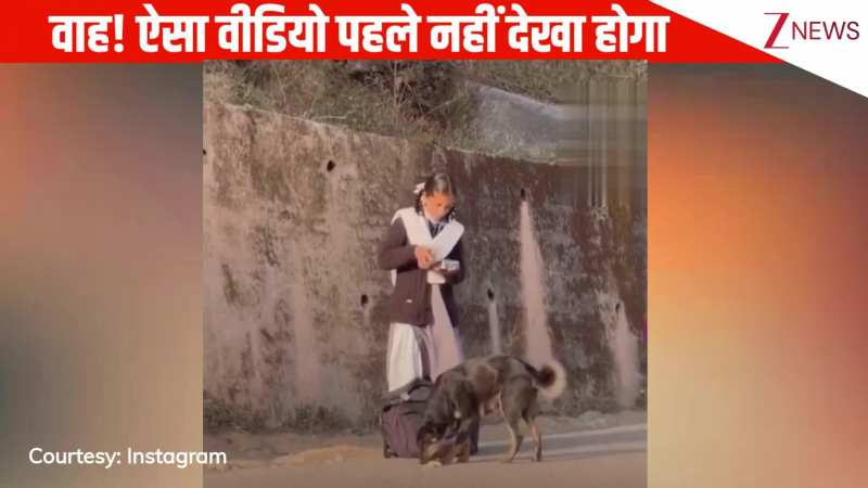 VIDEO: भूखे कुत्ते को देख लड़की ने खोला लंच और निकाल कर खिलाई रोटी, जनता ने दुआओं से भर दिया कमेंट सेक्शन