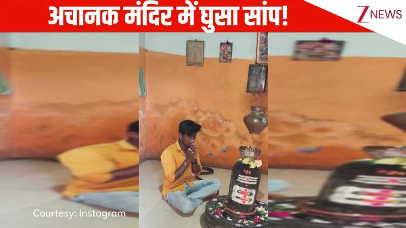 मंदिर में पूजा करता था शख्स, अचानक शिवलिंग के पास आया सांप, लोगों ने कमेंट में लिखा हर-हर महादेव
