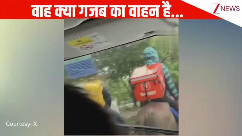साइकिल, गाड़ी सब छोड़ घोड़े पर ऑर्डर देने निकले डिलीवरी वाले, देख लोगों ने कमेंट में लिखा- अब चालान नहीं कटेगा भाई का