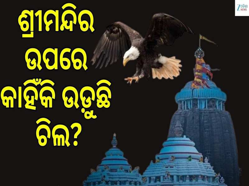 Srimandira: ଶ୍ରୀମନ୍ଦିର ଉପରେ କାହିଁକି ବାରମ୍ବାର ଉଡ଼ୁଛି ଚିଲ, ଦେଖନ୍ତୁ କ'ଣ କହୁଛନ୍ତି ଜଗନ୍ନାଥ ଗବେଷକ...