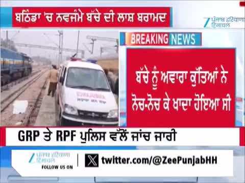 ਬਠਿੰਡਾ 'ਚ ਨਵਜੰਮੇ ਬੱਚੇ ਦੀ ਲਾਸ਼ ਬਰਾਮਦ