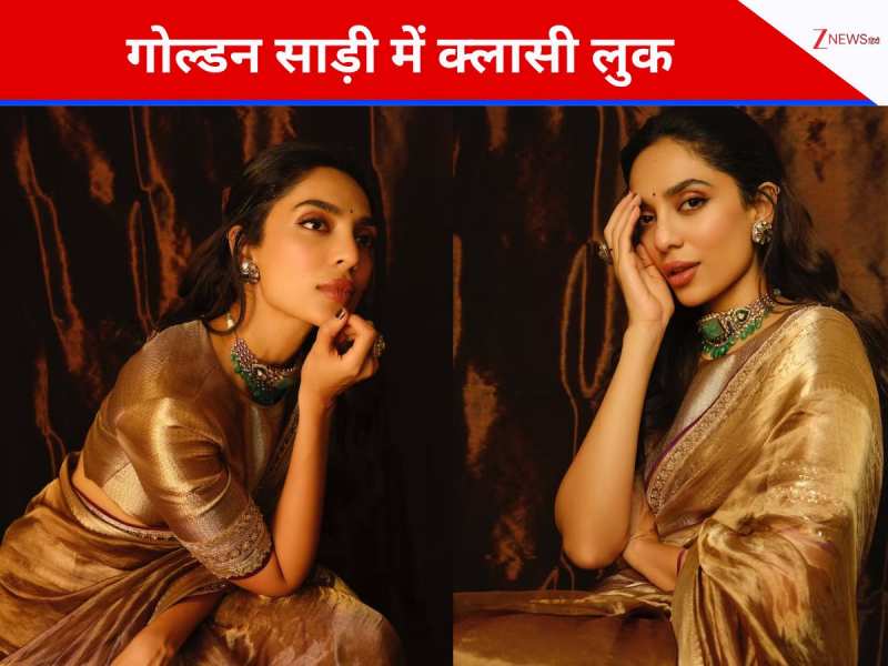 एलिगेंट लुक के लिए पहनें ये टिश्यू सिल्क साड़ी, शोभिता धुलिपाला से लें इंस्पिरेशन 