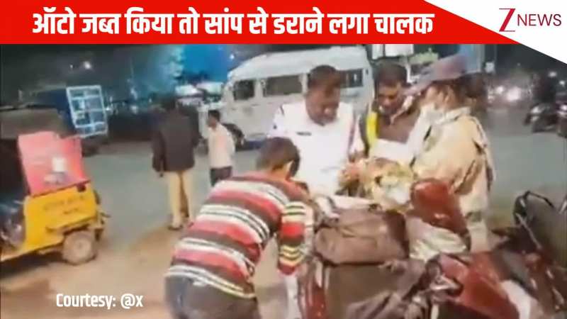 पुलिस ने ऑटो जब्त किया तो सांप से डराने लगा चालक, डर गए आस-पास के लोग, देखिए video