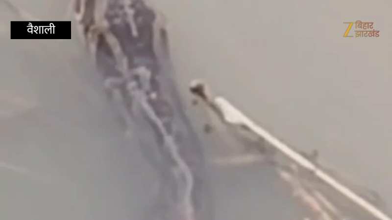 Video: गंडक नदी में दिखा 15 फीट का विशाल सांप, देखने वालों की उमड़ी भीड़