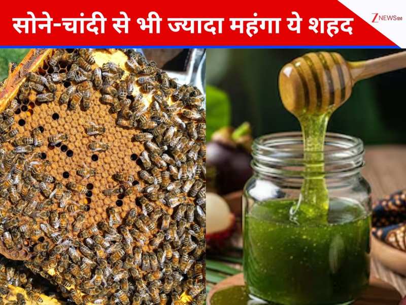 सोने से भी ज्यादा महंगा ये शहद, मधुमक्खियां जीवन में केवल बना पाती हैं 1 KG शहद