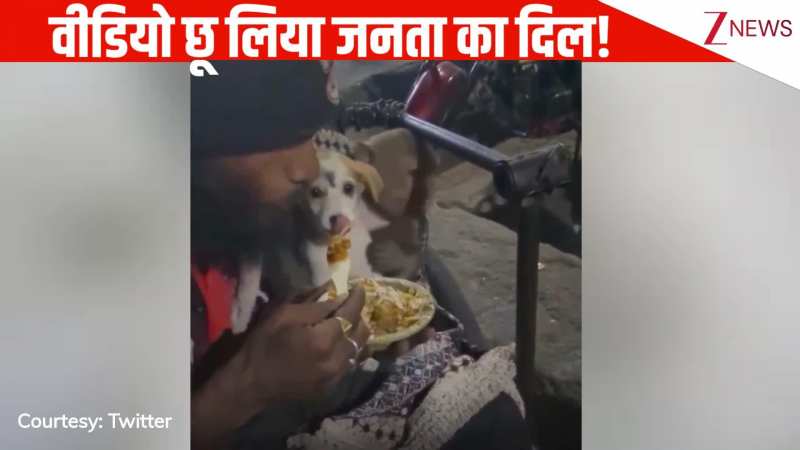 गोद में बंदर और कुत्ते को बैठाकर दिव्यांग ने हाथों से खिलाया खाना, वीडियो ने छू लिया जनता का दिल, जमकर किया शेयर!