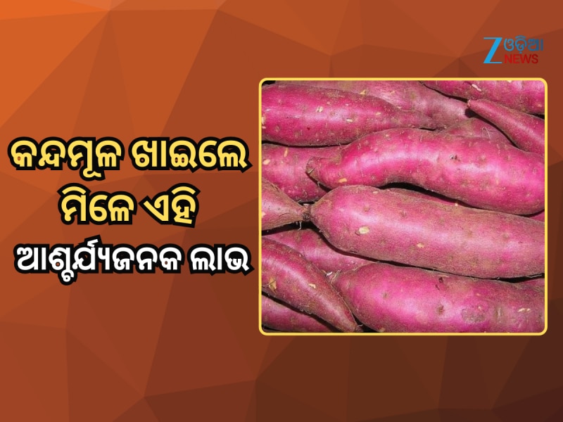 ଶୀତ ଦିନେ ଖାଆନ୍ତୁ କନ୍ଦମୂଳ; ପାଇବେ ଏହି ସବୁ ଆଶ୍ଚର୍ଯ୍ୟଜନକ ଲାଭ