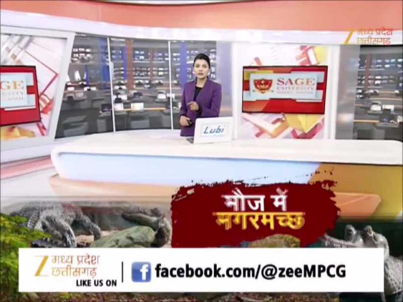 घड़ियालों को निगल रहे 'सेंचुरी के राजा', लोकेशन ट्रैकर से हुआ सनसनीखेज खुलासा