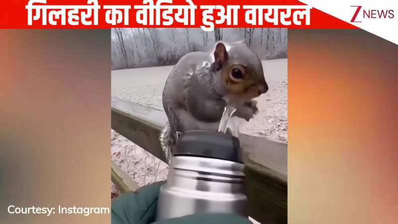 कड़ाके की ठंड में बर्फ से जमी गिलहरी, देखते ही शख्स का पसीजा दिल, फिर जो किया, मिलियन पार गए व्यूज: AI वीडियो